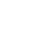 Lobo Corretora de Seguros